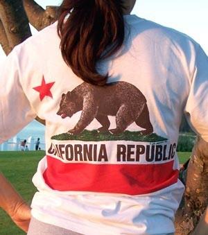 CA State Park California State Flag Graphic Tee