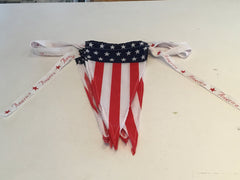 American Flag Banner