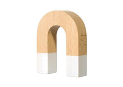 Horseshoe Magnet